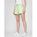 4F H4L22-SKDD010 LEMON