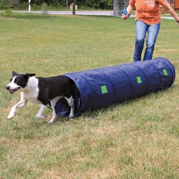 Trixie Agility tunel pre psy