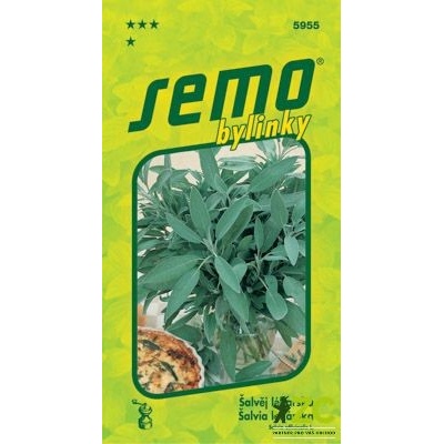 Šalvěj lékařská