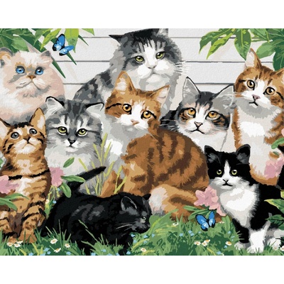 zuty Různobarevné kočky před domem Howard Robinson 80 x 100 cm vypnuté plátno na 8596530060239