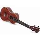 Sigma Guitars SUM-2C