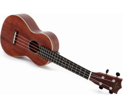 Sigma Guitars SUM-2C
