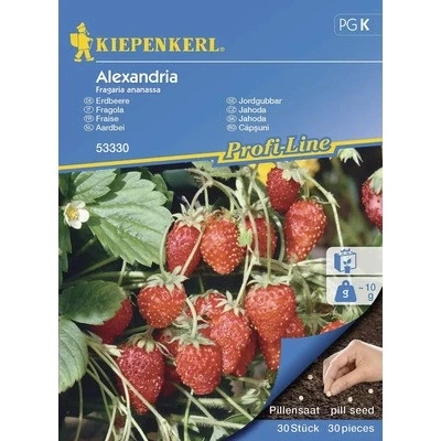 Jahodník měsíční Alexandria Kiepenkerl