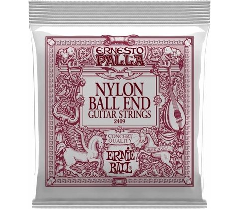 Ernie Ball 2409