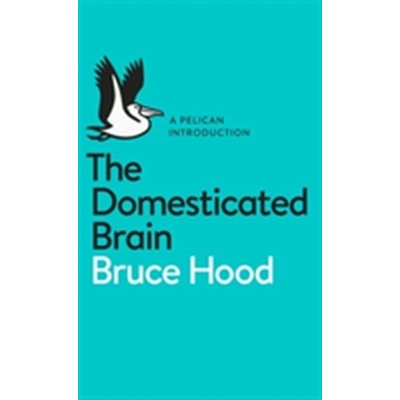 Domesticated Brain - A Pelican Introduction Hood BrucePaperback