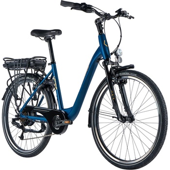 Leader Fox Latona 2024