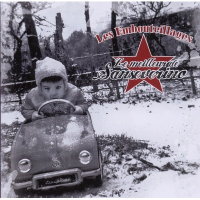 Stéphane Sanseverino - Le Meilleur De Sanseverino CD