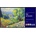 BenQ SL4304