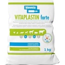 Vitaplastin forte 1 kg