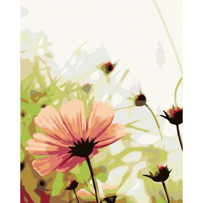 zuty Malování podle čísel Rozkvětlá květina na louce 80 x 100 cm vypnuté plátno na rám