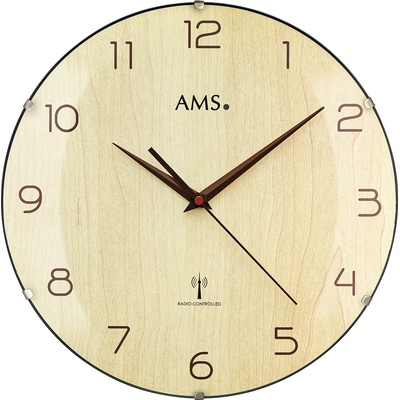 AMS 5557