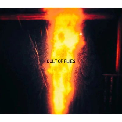 Cult of Flies