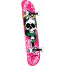 Powell Peralta Skull and Snake One Off