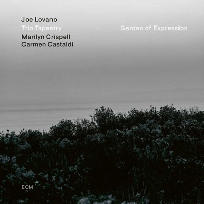 Garden of Expression - Joe Lovano LP