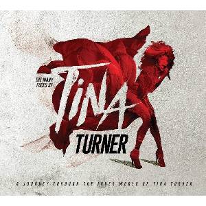 Sony Music Various: Many Faces Of Tina Turner (Coloured Edition) - 2Vinyl (LP) (046379)