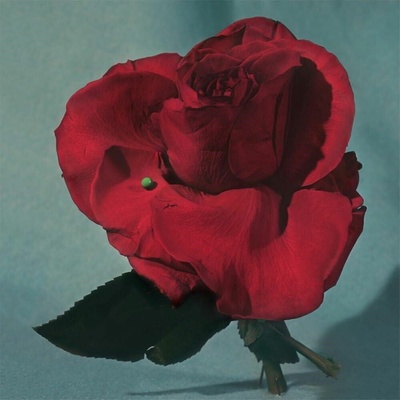 Metz - Up on Gravity Hill LP