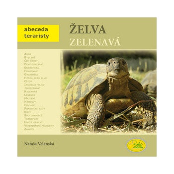 Želva zelenavá