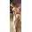 Art Puzzle - Puzzle Angelica - 1 000 piese