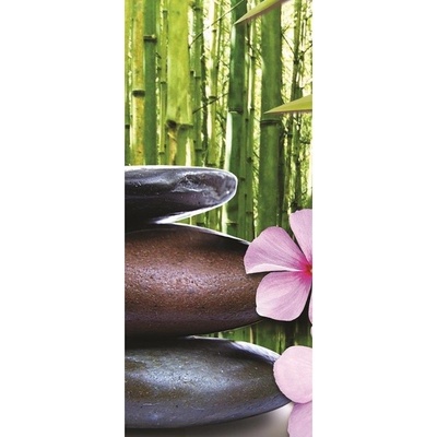 Preinterier DV0014 Fototapeta na stenu Kvety a kamienky vlies 91cm x 211cm