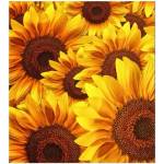 DIMEX ART Флизелинов фототапет поле от невен 225 x 250 см