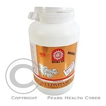 High Standard Product Multivitamin mineral + echinacea + Q10 100 tablet