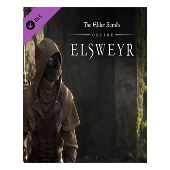 The Elder Scrolls Online: Elsweyr upgrade