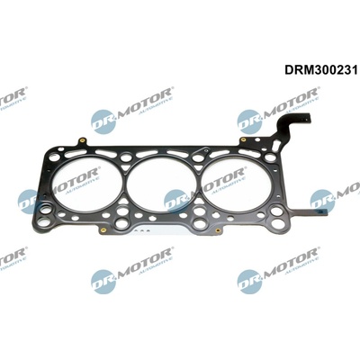 DR.MOTOR AUTOMOTIVE Tesnenie hlavy valcov DRM300231