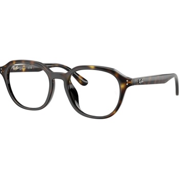 Ray-Ban rx7259d - 2012 мъжки (rx7259d - 2012)