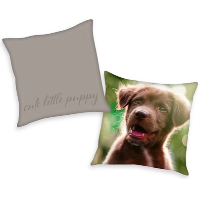 Herding vankúš Šteňa 40x40