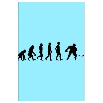 Plakát 61x91 Ikea kompatibilní Evolution Hockey