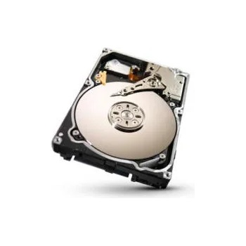 Seagate Constellation 2 1TB 64MB 7200rpm (ST91000640SS)