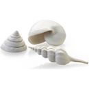 BiOrb Sea Shells Decor set biele 12, 7, 5 cm