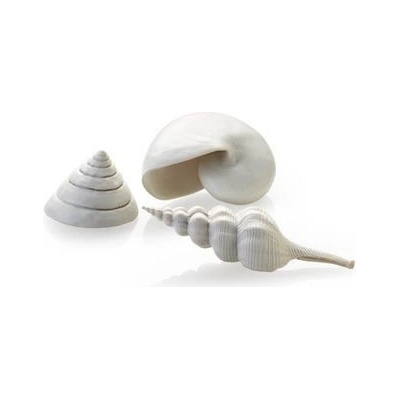 BiOrb Sea Shells Decor set biele 12, 7, 5 cm