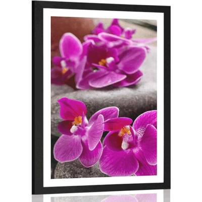 Plakát s paspartou nádherná orchidej a Zen kameny - 40x60 black