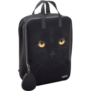 ErichKrause Раница ErichKrause StreetLine 16л Black Cat