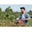 Skil GH1E0440CA