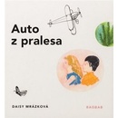 Auto z pralesa