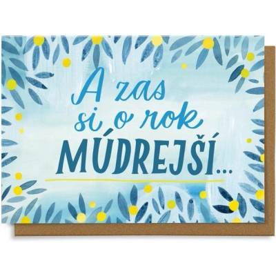 Chaukiss A zas si o rok múdrejší