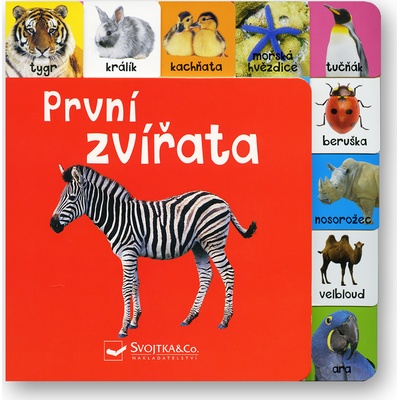 První zvířata