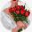 Ideyka Painting by numbers - Tulips 26cm