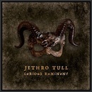 Jethro Tull Curious Ruminant LP