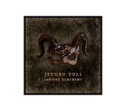 Jethro Tull Curious Ruminant LP