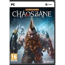 Hry na PC Warhammer: Chaosbane