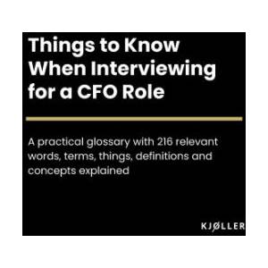 Things to Know When Interviewing for a CFO Role | Kjøller (2023)