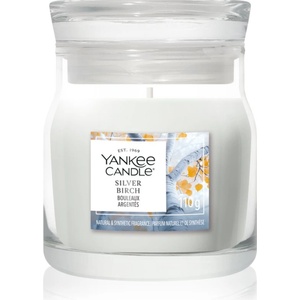 Yankee Candle Silver Birch ароматна свещ Signature 110 гр