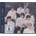 Enhypen - -YOU- CD