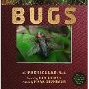 Bugs - Dan Kainen