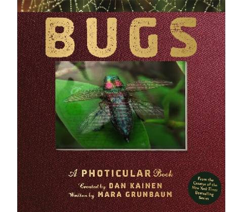 Bugs - Dan Kainen