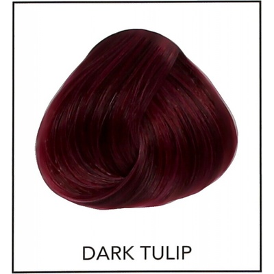 La Riché Directions 00 Dark Tulip 89 ml