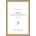 Introduction to the Greek New Testament, Produced at Tyndale House, Cambridge | Dirk Jongkind